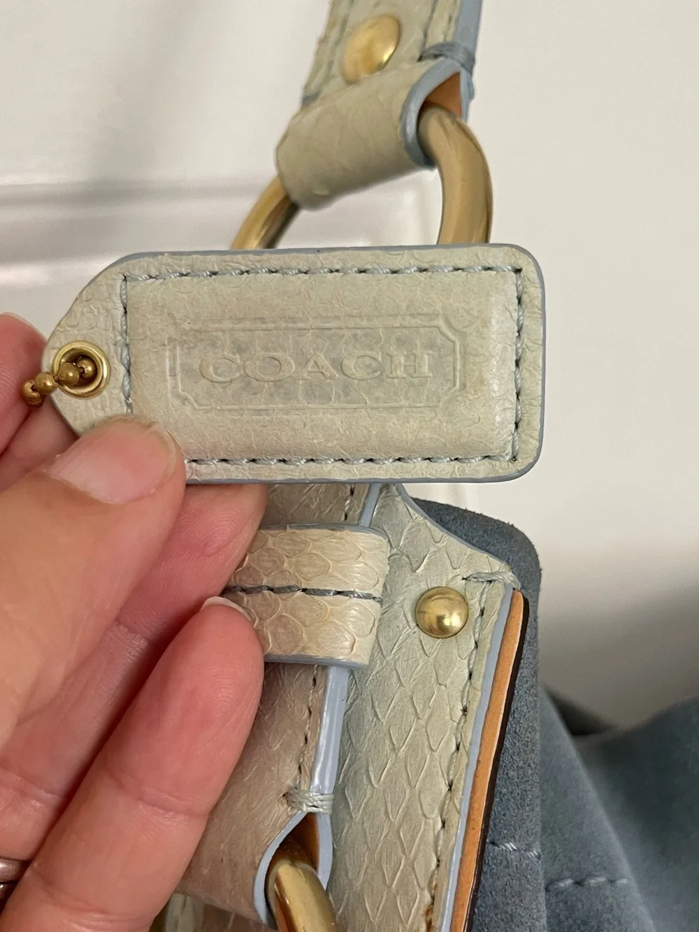 Coach 2007 Limited Edition Carley Hobo in Blue Suede/Snakeskin Leather Strap Bag